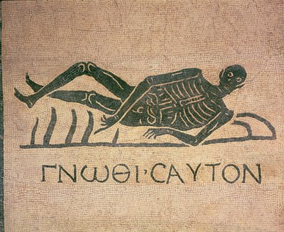 Liegendes Skelett mit der Beschriftung 